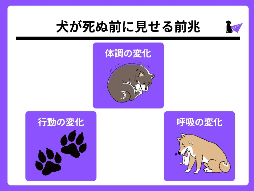 犬 死ぬ前 挨拶_1