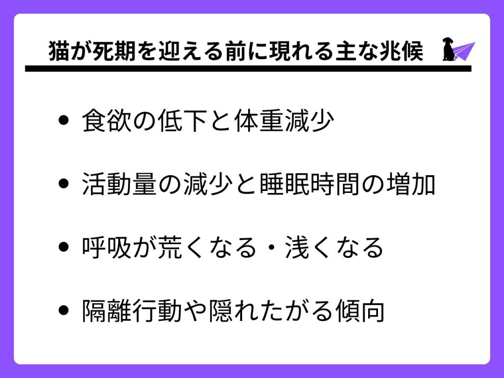 猫 死期が近づくと_1