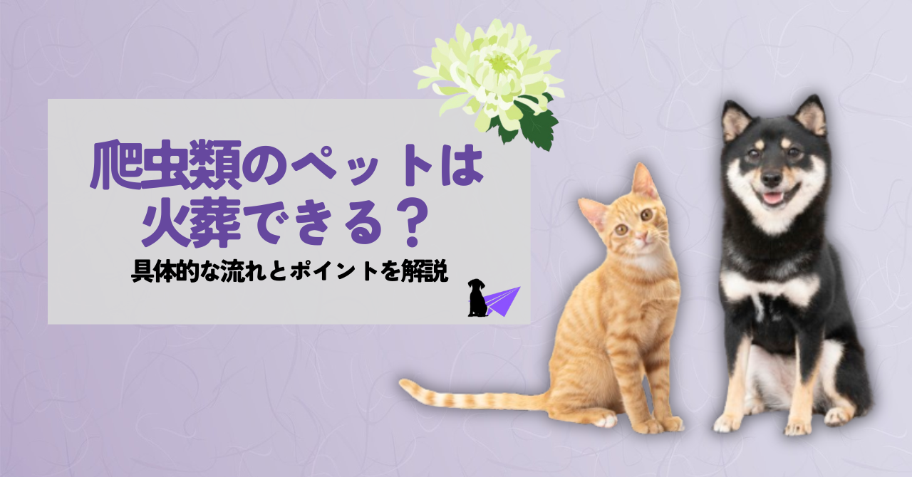 ペット 火葬 爬虫類_アイキャッチリライト