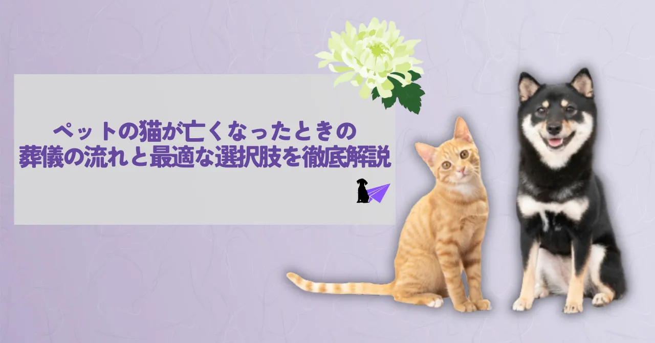 猫 葬儀_アイキャッチリライト