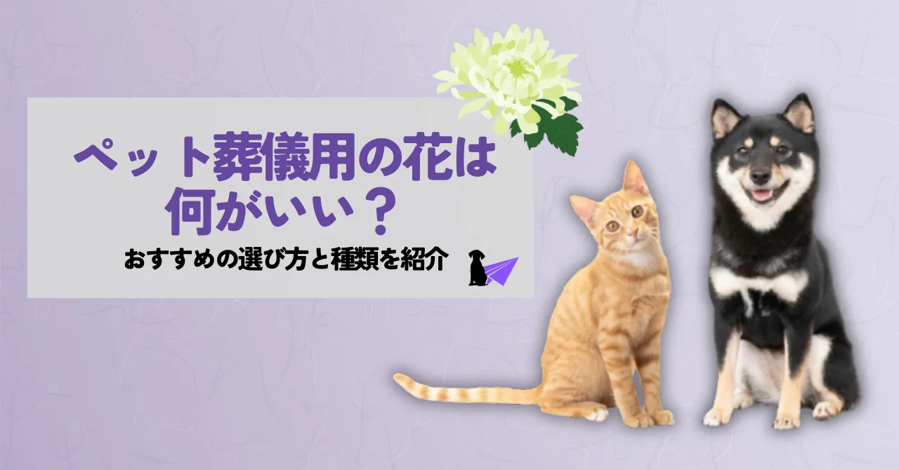 ペット 葬儀 花_アイキャッチリライト