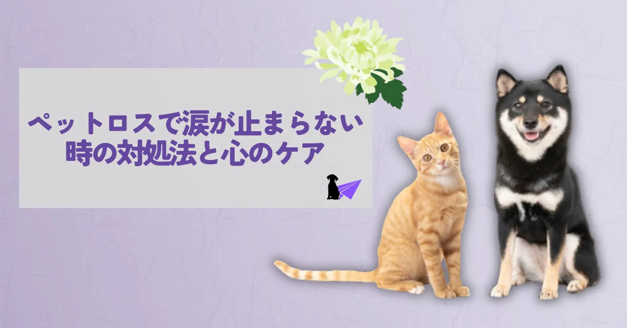 ペットロス 涙が止まらない_アイキャッチリライト