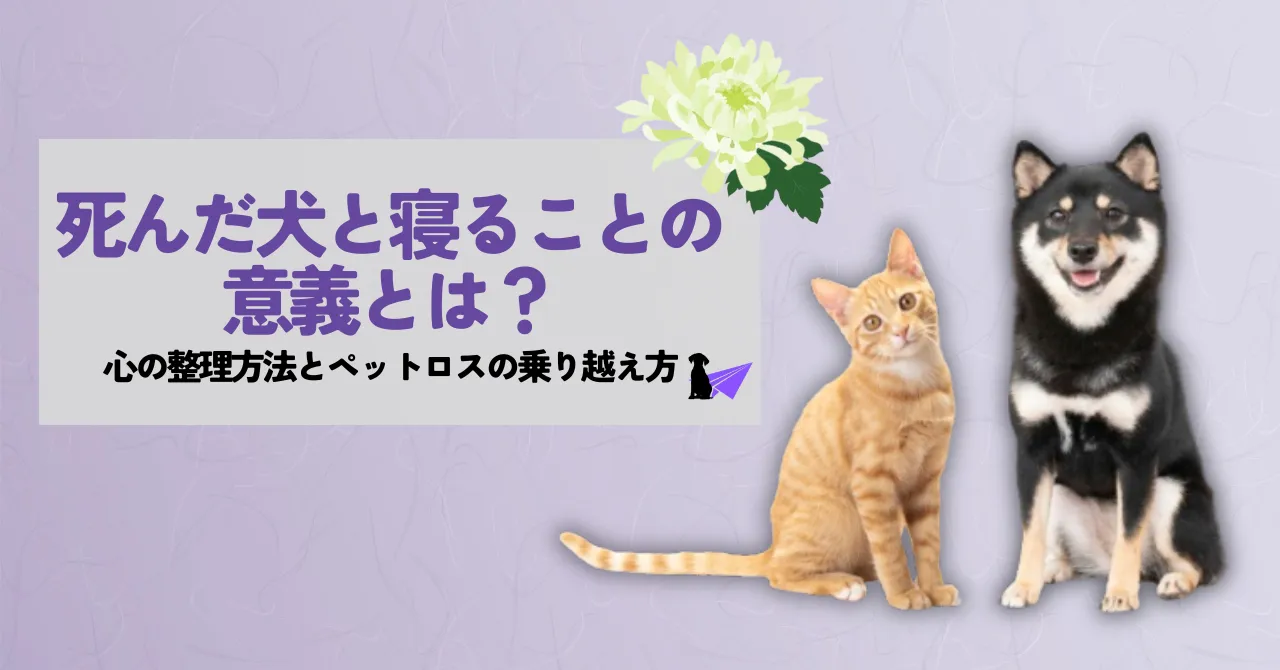 死んだ犬と寝る_アイキャッチリライト