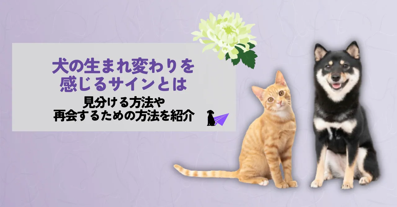 犬 生まれ変わり サイン_アイキャッチ